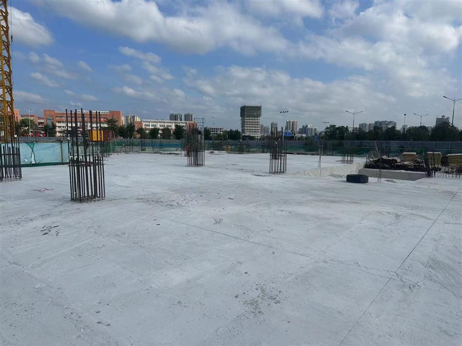 AG Club | The Originator of Live Casino