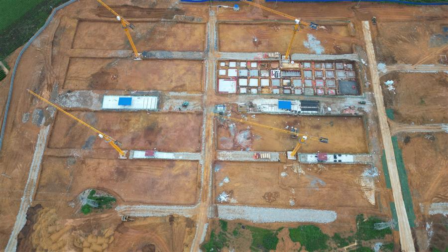 AG Club | The Originator of Live Casino