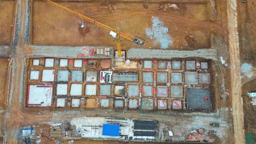 AG Club | The Originator of Live Casino