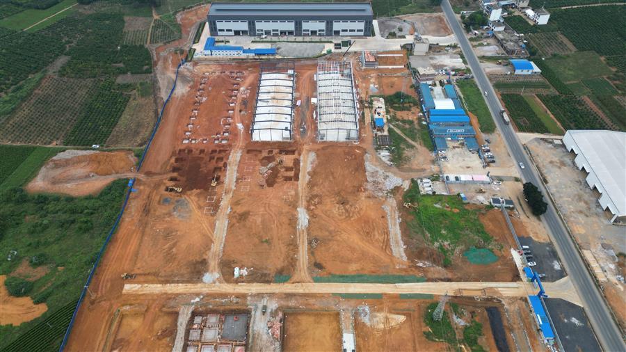 AG Club | The Originator of Live Casino