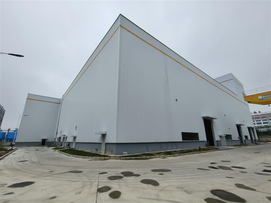 AG Club | The Originator of Live Casino