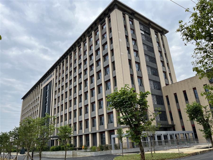 AG Club | The Originator of Live Casino