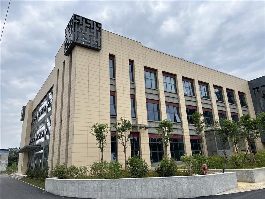 AG Club | The Originator of Live Casino