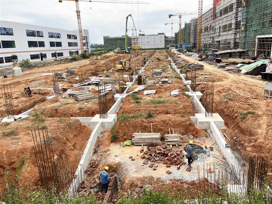 AG Club | The Originator of Live Casino