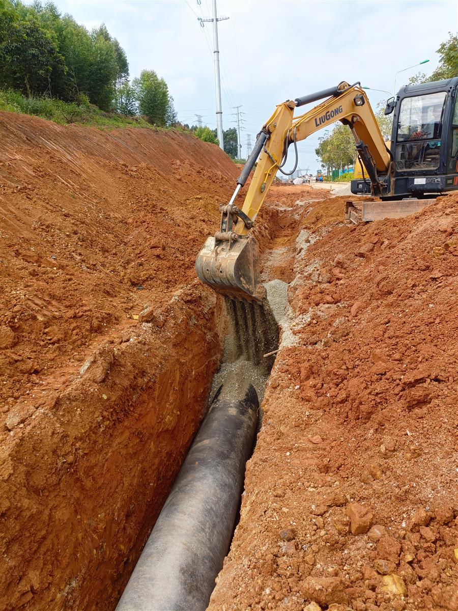 AG Club | The Originator of Live Casino