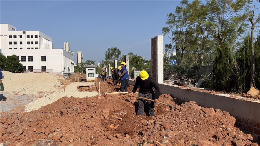 AG Club | The Originator of Live Casino