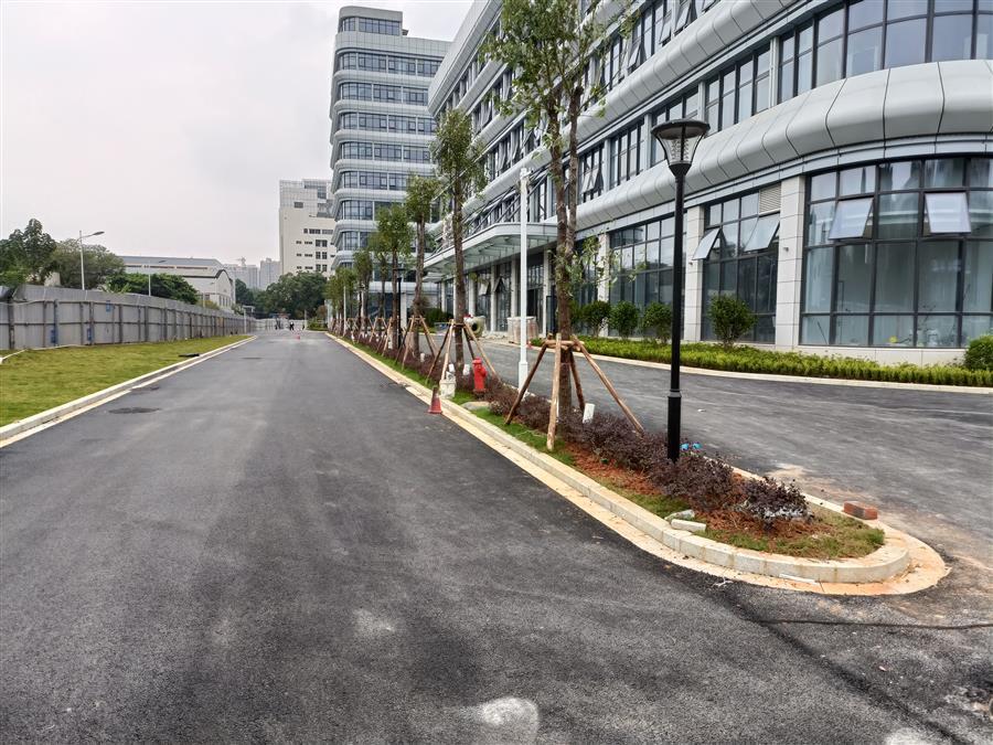 AG Club | The Originator of Live Casino