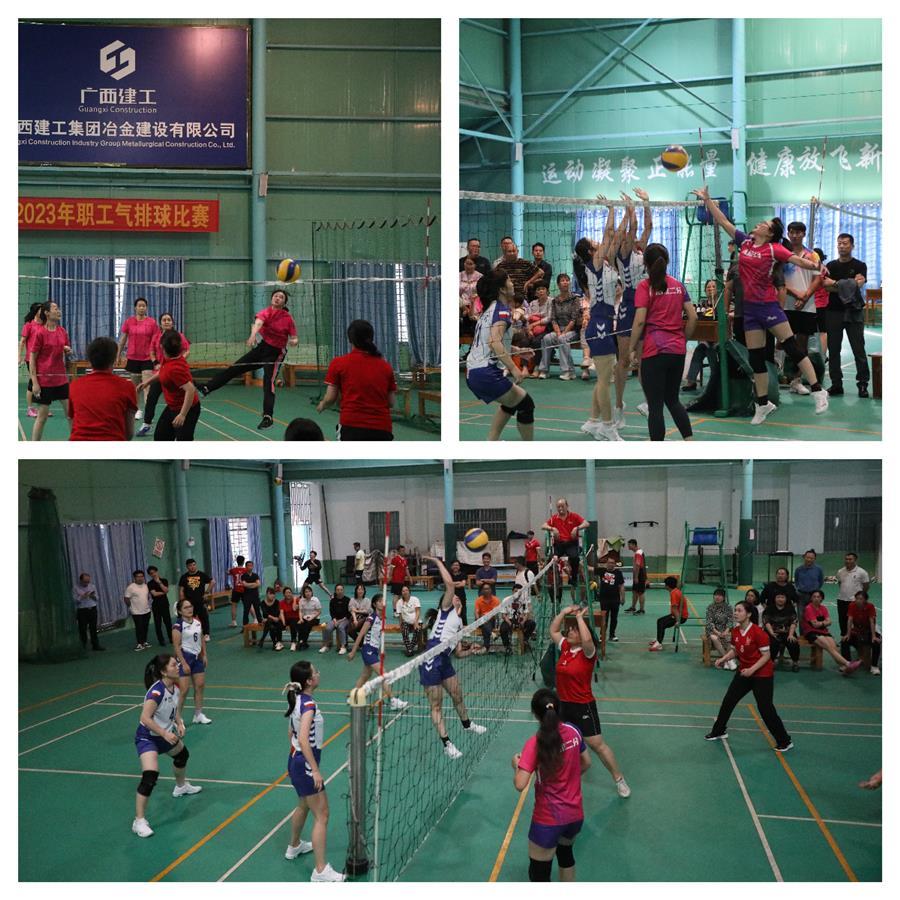 AG Club | The Originator of Live Casino