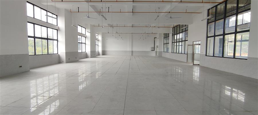 AG Club | The Originator of Live Casino