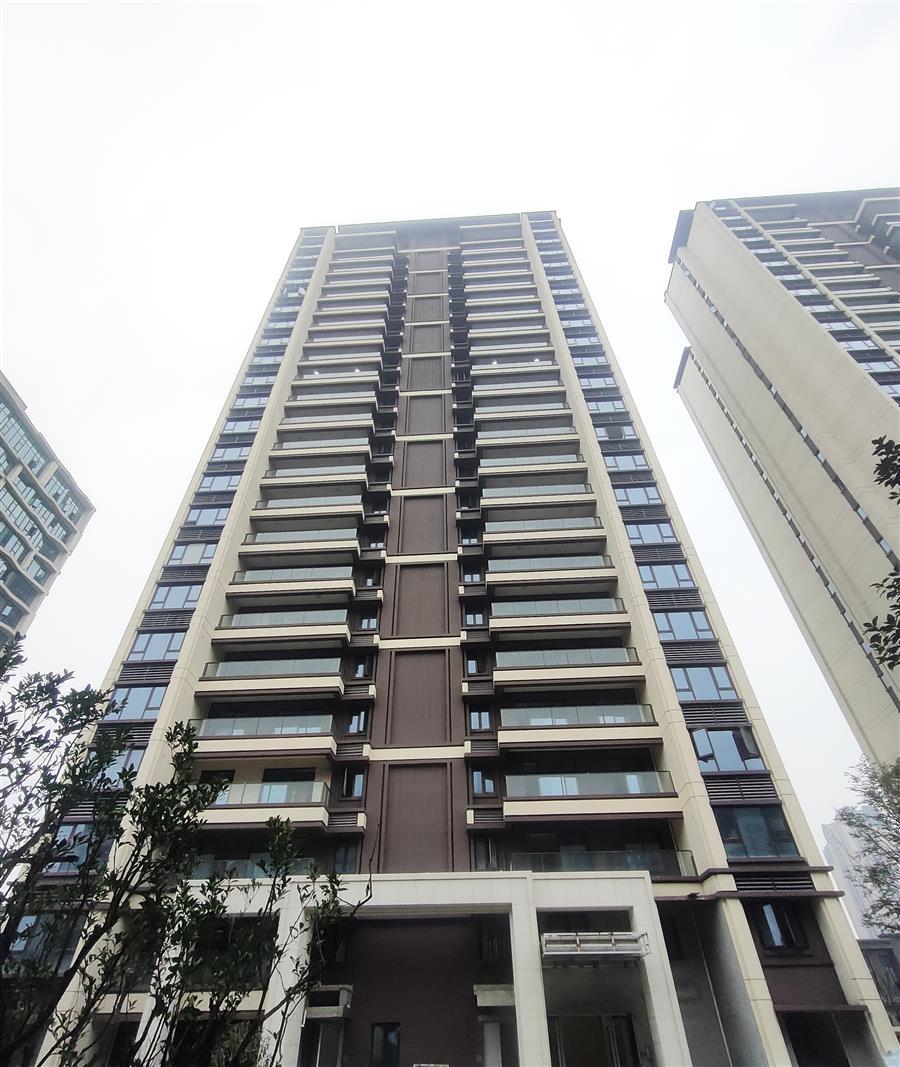 AG Club | The Originator of Live Casino