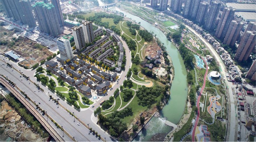 AG Club | The Originator of Live Casino