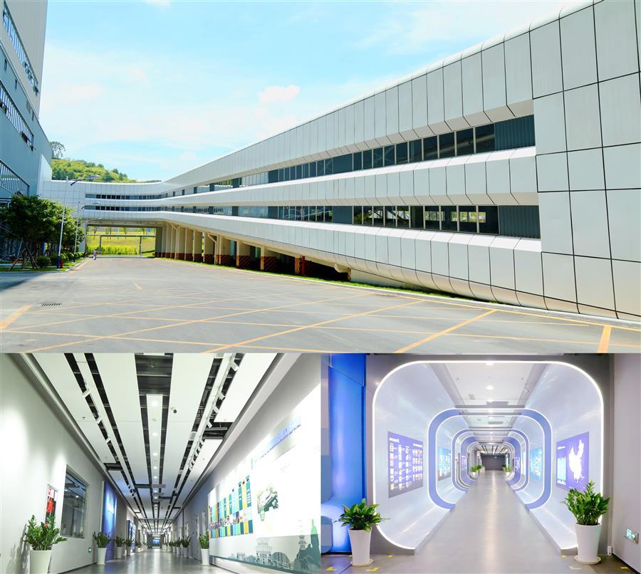 AG Club | The Originator of Live Casino