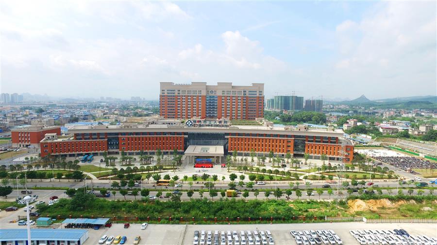 AG Club | The Originator of Live Casino