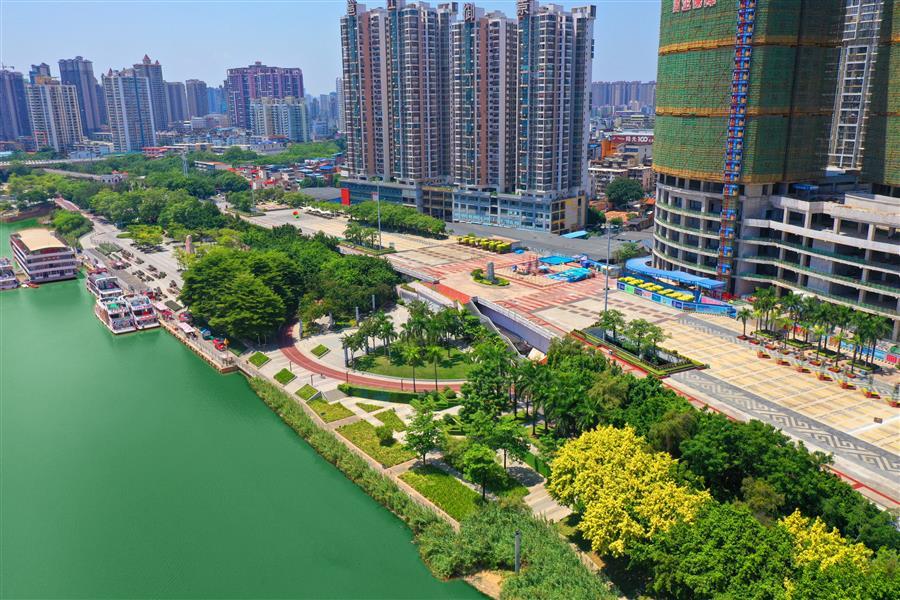 AG Club | The Originator of Live Casino