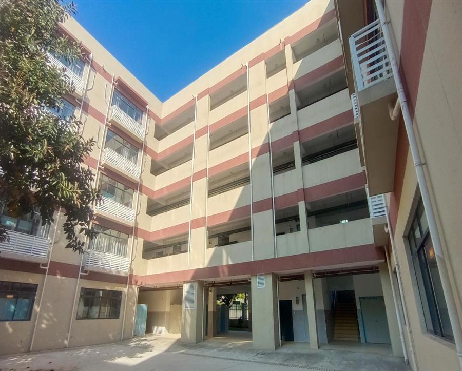 AG Club | The Originator of Live Casino