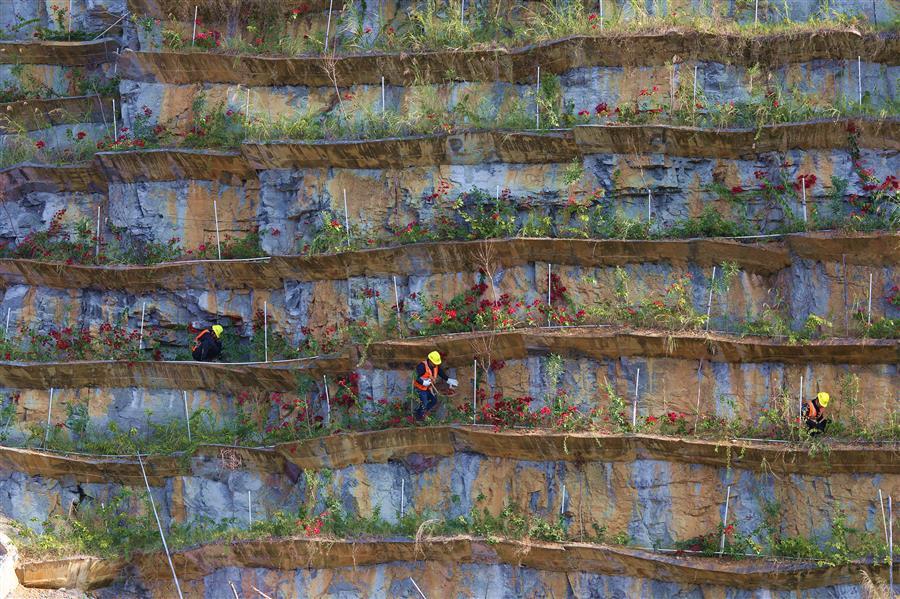 AG Club | The Originator of Live Casino