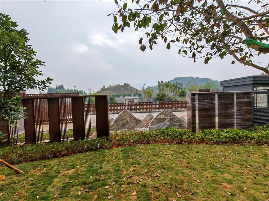 AG Club | The Originator of Live Casino