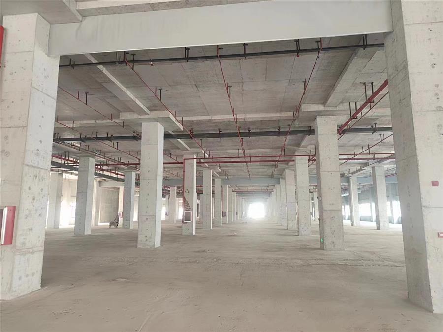 AG Club | The Originator of Live Casino