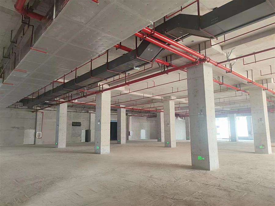 AG Club | The Originator of Live Casino