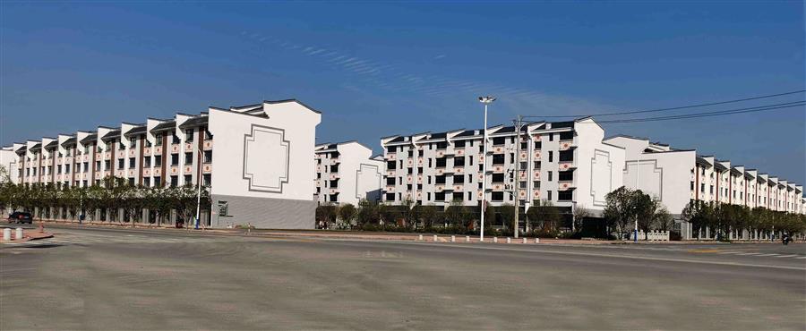 AG Club | The Originator of Live Casino