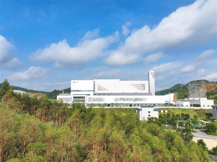 AG Club | The Originator of Live Casino