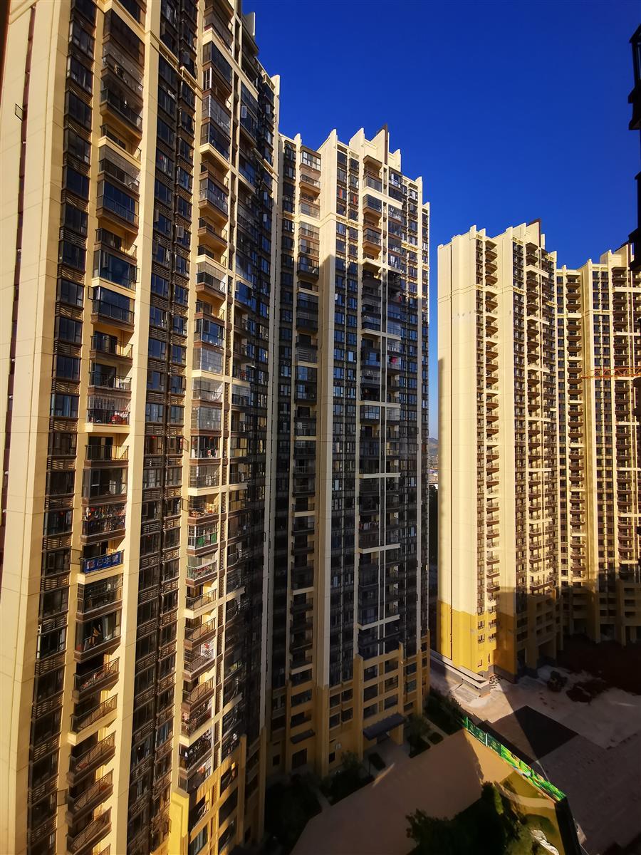 AG Club | The Originator of Live Casino