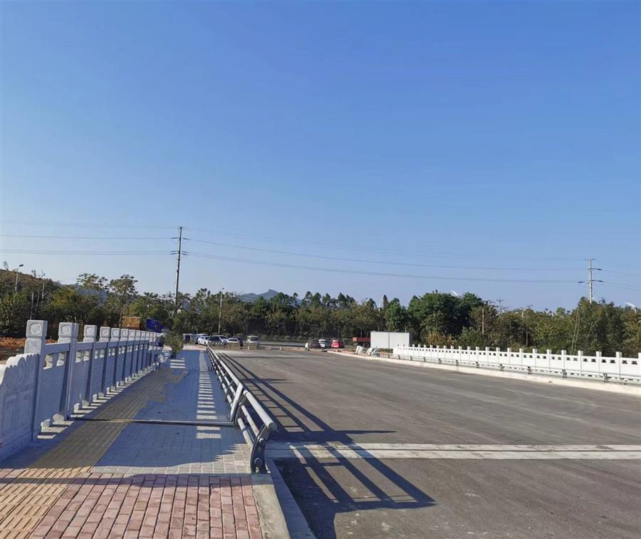 AG Club | The Originator of Live Casino