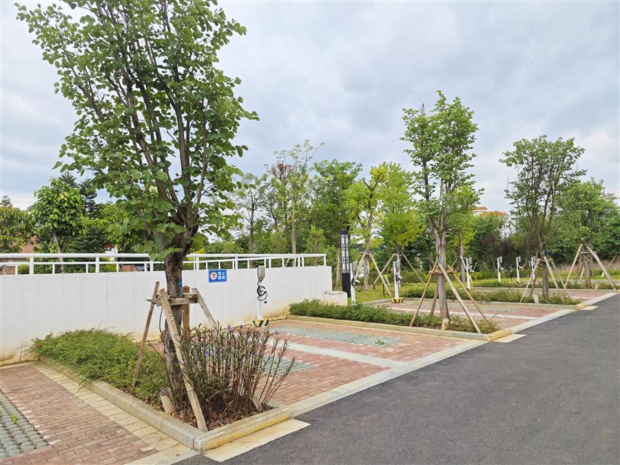 AG Club | The Originator of Live Casino