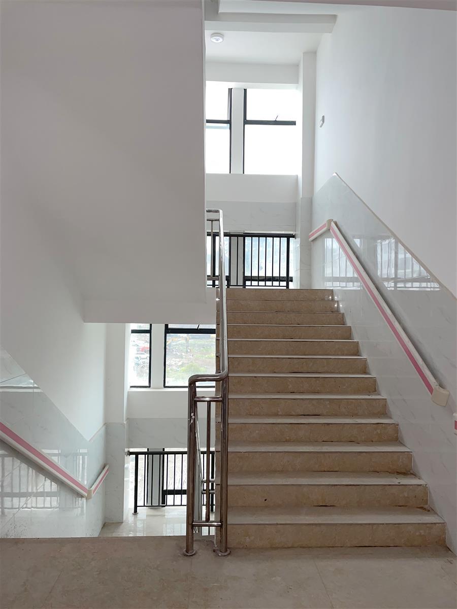 AG Club | The Originator of Live Casino