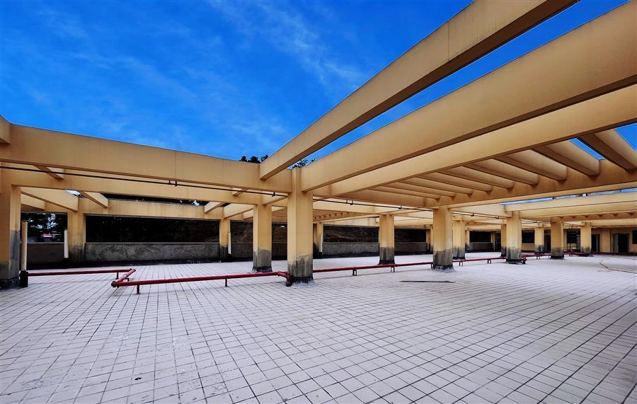 AG Club | The Originator of Live Casino