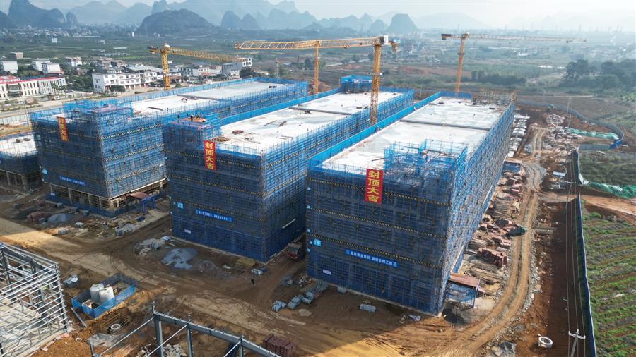 AG Club | The Originator of Live Casino