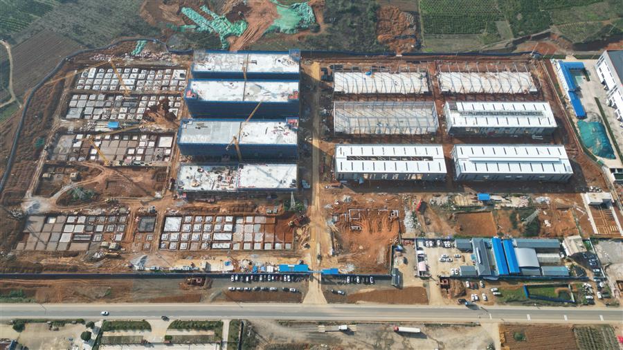 AG Club | The Originator of Live Casino