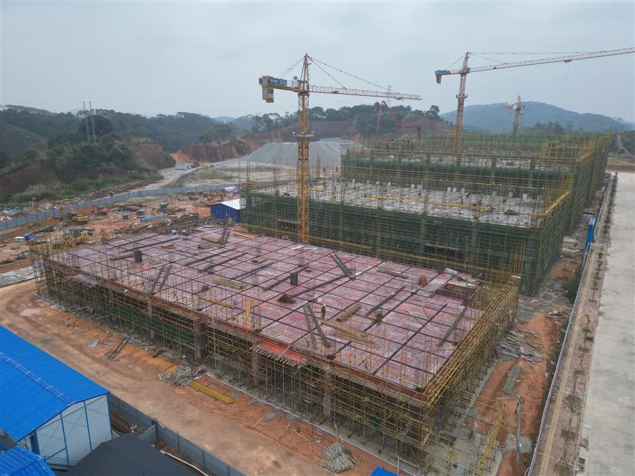 AG Club | The Originator of Live Casino