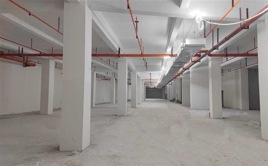 AG Club | The Originator of Live Casino