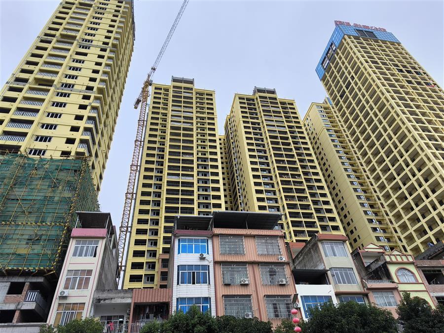 AG Club | The Originator of Live Casino