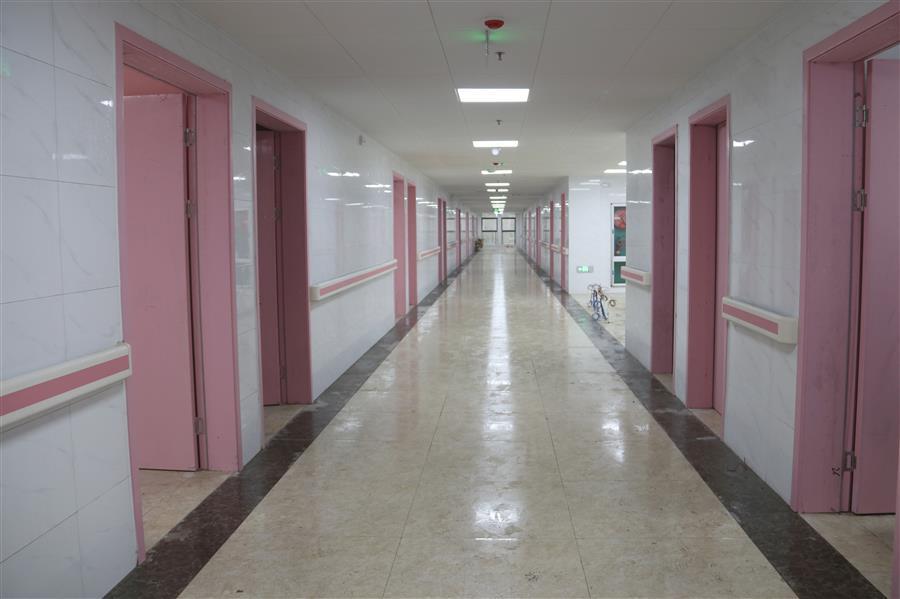 AG Club | The Originator of Live Casino