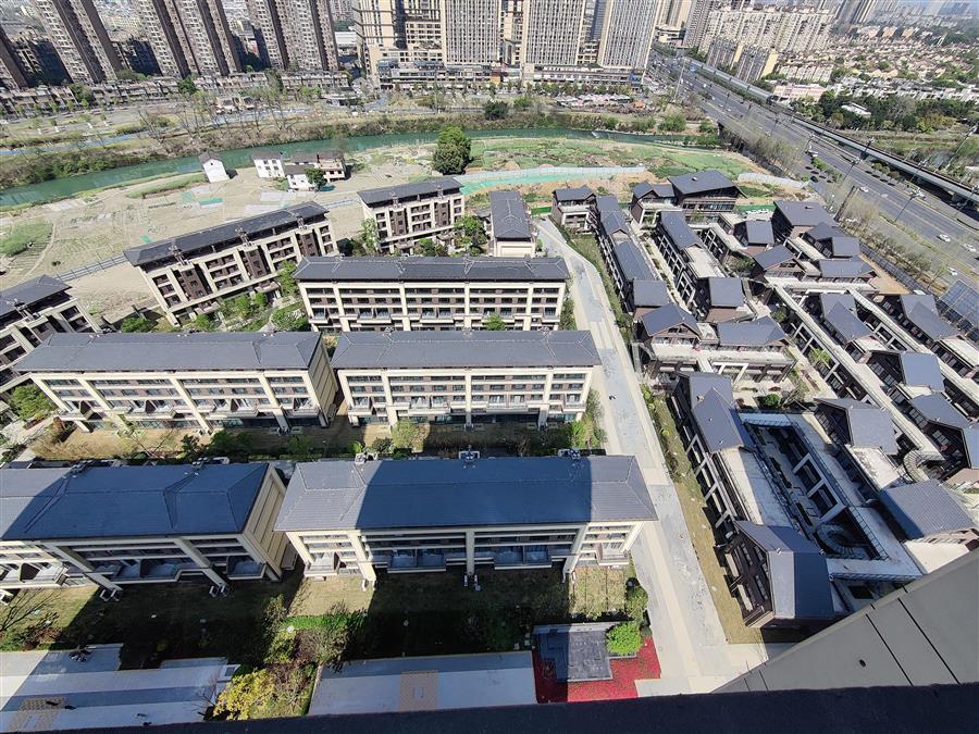 AG Club | The Originator of Live Casino