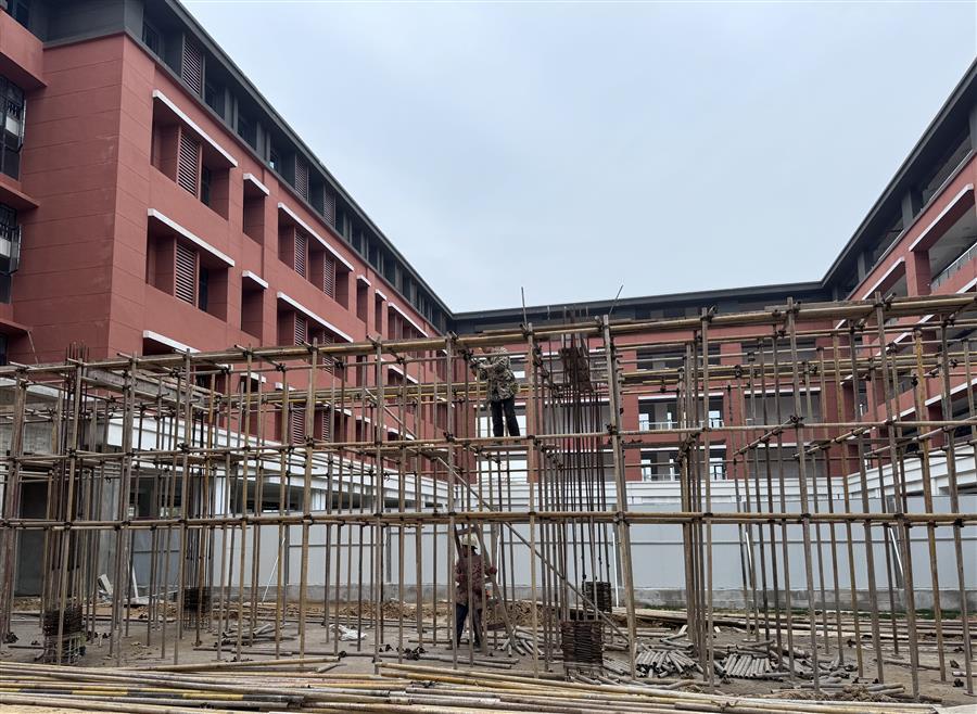 AG Club | The Originator of Live Casino