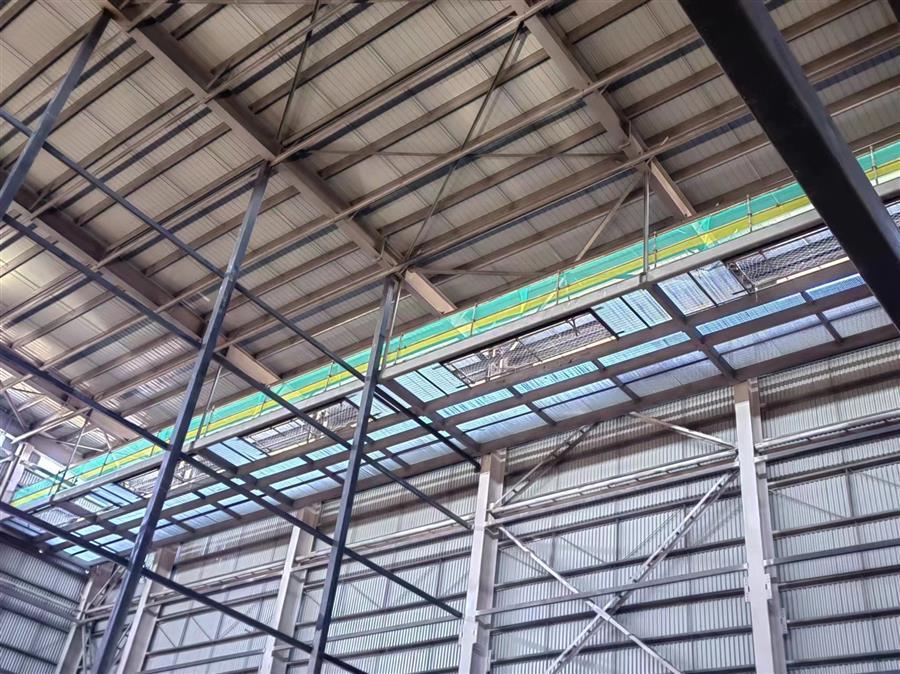 AG Club | The Originator of Live Casino