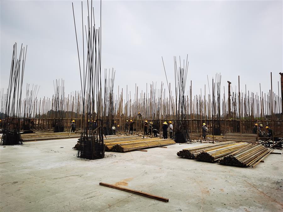 AG Club | The Originator of Live Casino