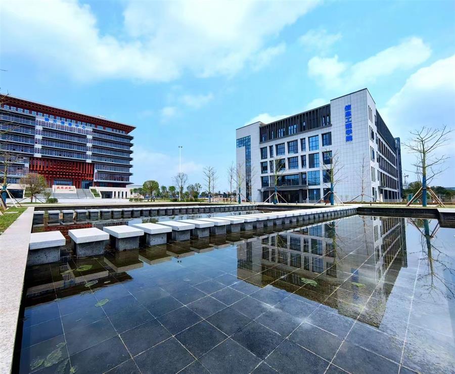 AG Club | The Originator of Live Casino