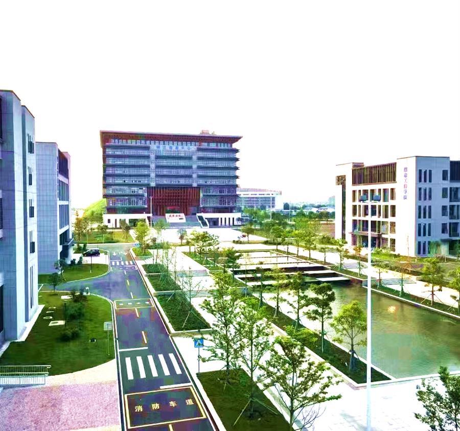 AG Club | The Originator of Live Casino