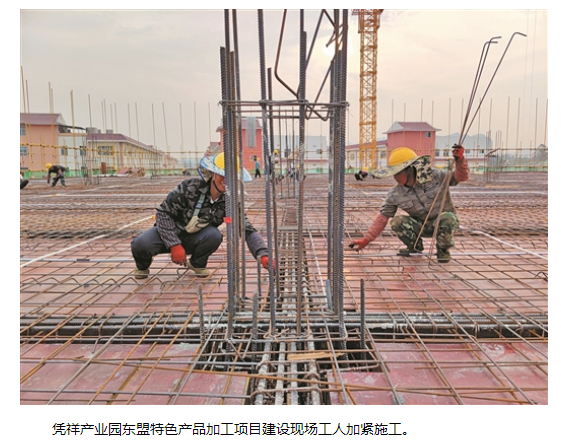 AG Club | The Originator of Live Casino