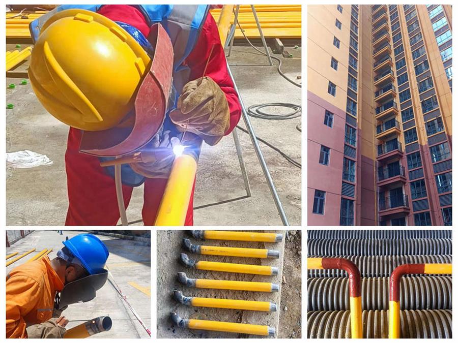 AG Club | The Originator of Live Casino