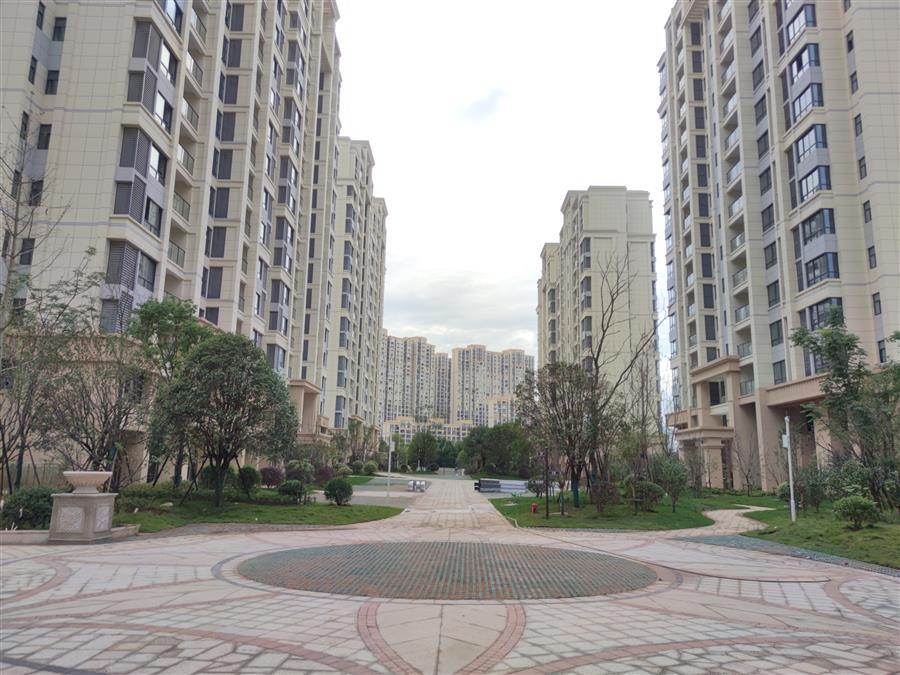 AG Club | The Originator of Live Casino