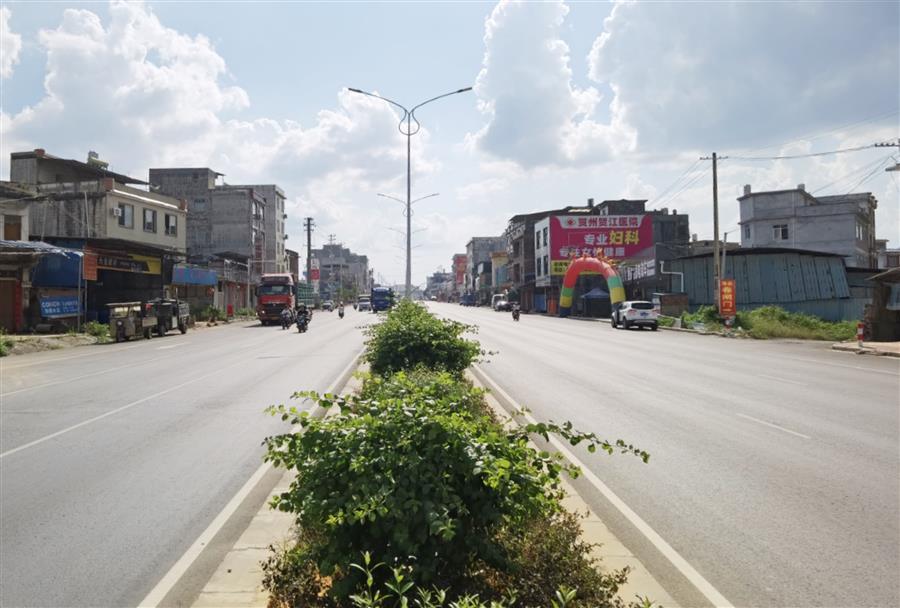 AG Club | The Originator of Live Casino