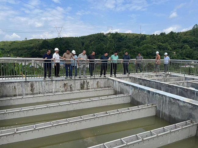 AG Club | The Originator of Live Casino