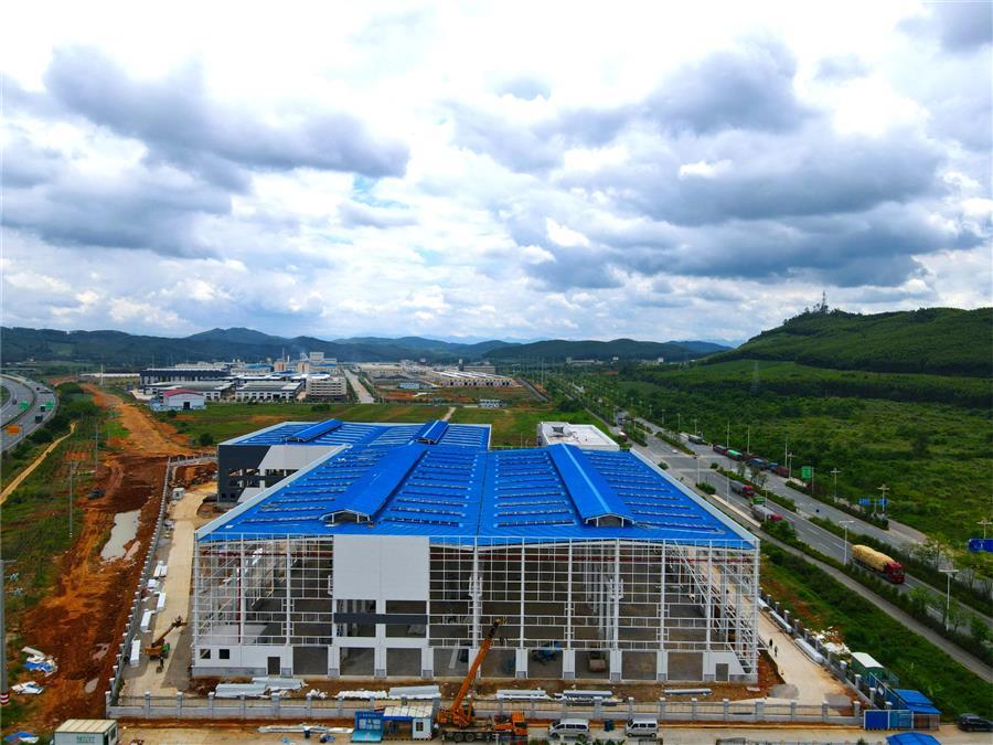 AG Club | The Originator of Live Casino