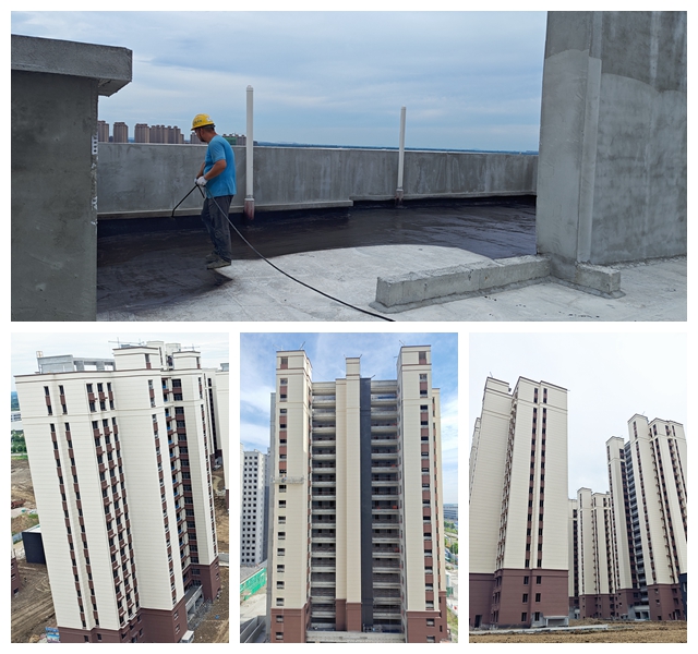 AG Club | The Originator of Live Casino