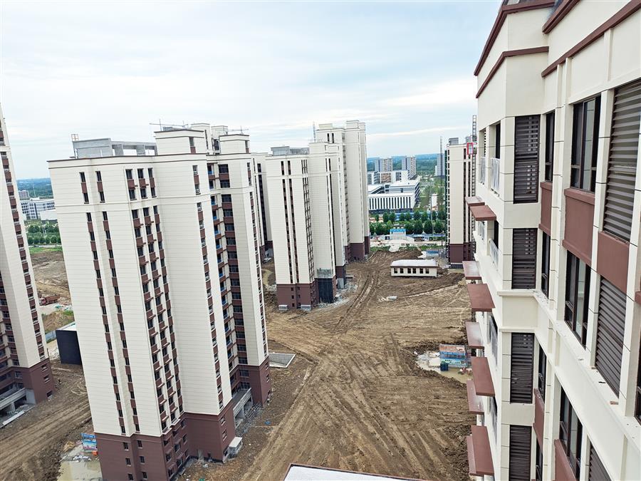 AG Club | The Originator of Live Casino